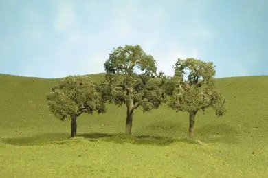 2 1/2"-3 1/2" Walnut Trees 1