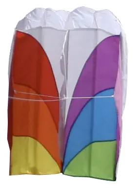 20" Rainbow Para2 Kite 1