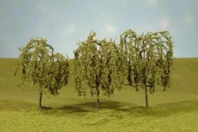 3"-3.5" Willow Trees 1
