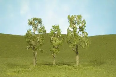 3"-4" Aspen Trees 1