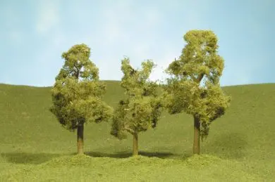 3"-4" Sycamore Trees 1