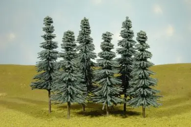5"-6" Blue Spruce 1