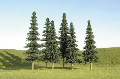 5"-6" Spruce Trees 1