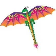 55" 3D Dragon Kite 1