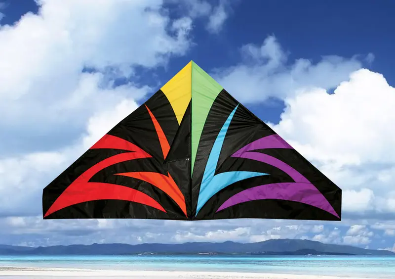 55" Black Lightning Delta Kite 1