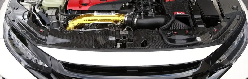 Apr Performance Carbon Kühlerabdeckung Passend Für Honda Civic Type-R Fk8 1