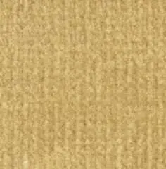 Carpet 12" X 14" Buff 1