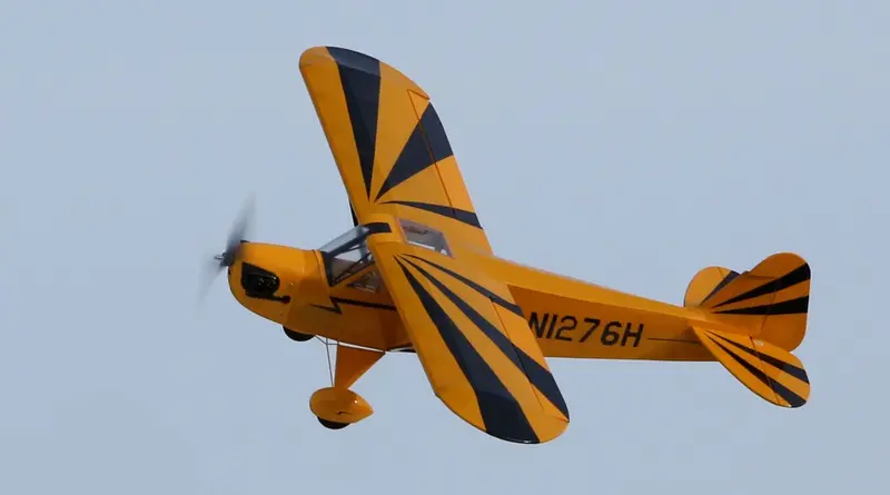 Clipped Wing Cub 250 Arf, 30.7" 1