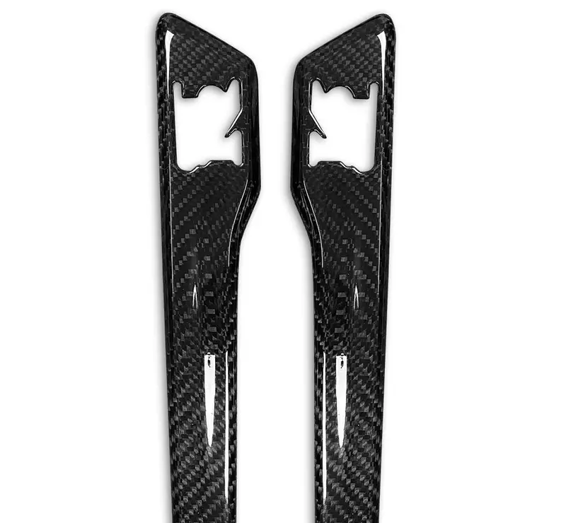 Dry Carbon Zierleisten Passend Für Nissan Gt-R R35 1