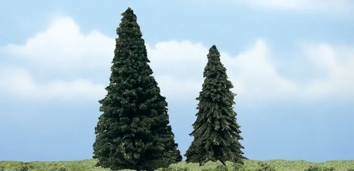 Evergreen Trees 1