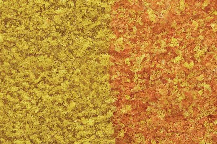 Foliage Early Fall Mix 1