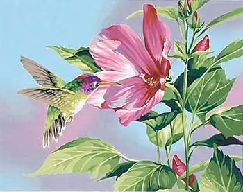 Hibiscus & Hummingbird Paint By Numbers Kit 1