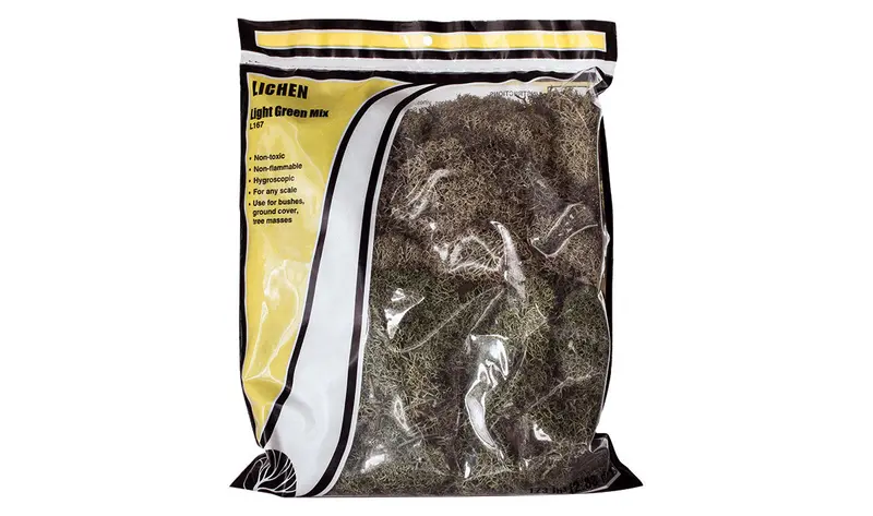 Lichen Light Green Mix 1