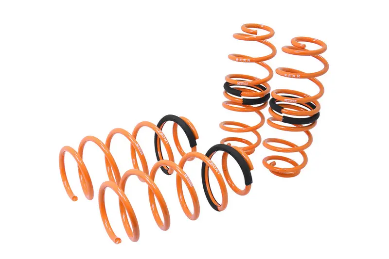 Megan Racing Ford Fiesta 11+ Lowering Springs Mr-Ls-Ffsa12 1
