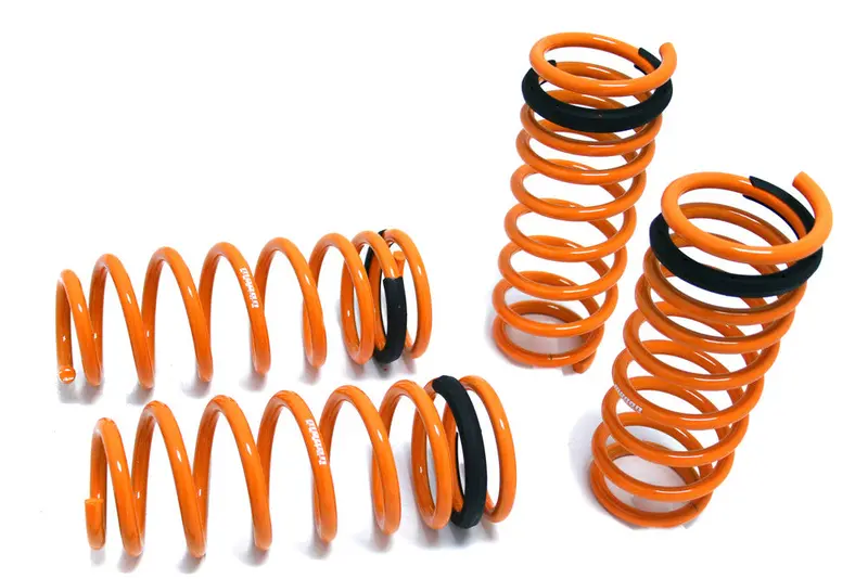 Megan Racing Nissan 300Zx 90-96 Lowering Springs Mr-Ls-N300 1