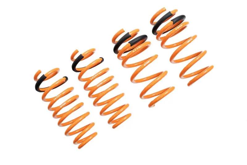 Megan Racing Tesla Model 3 Rwd 17+ Lowering Springs - Mr-Ls-Tsl317 1