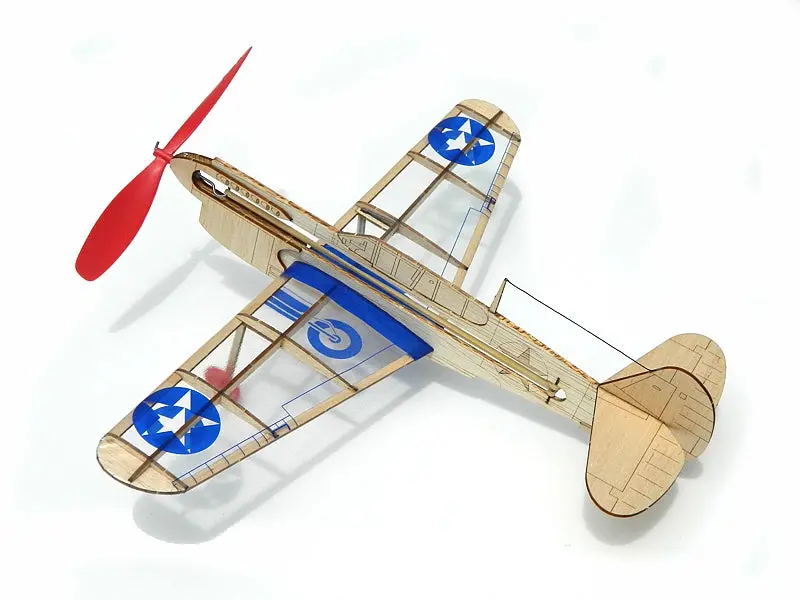 Mini Model Us Warhawks 1