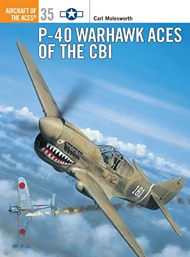 P-40 Warhawk Aces Of The Cbi 1