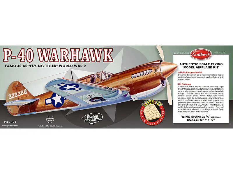 P40 Warhawks "Flying Tiger" 1