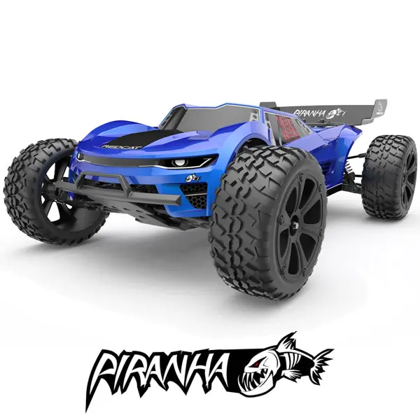 Piranha  1/10Th Scale Truggy 1