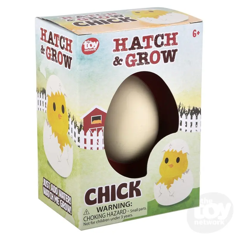 Small Hatch And Grow Chick Egg 1