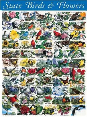 State Birds And Flowers 1000Pc Puzzle 1