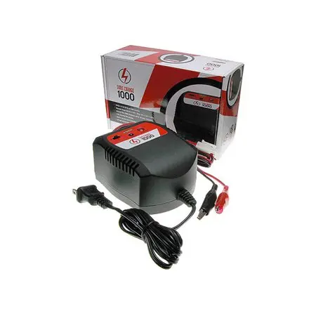 Sure Charge 1000 (Ac/Dc) 1