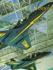 The Spirit Of Naval Aviation 1