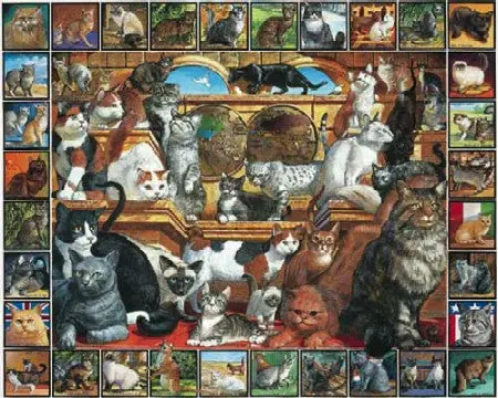 World Of Cats 1000Pc Puzzle 1