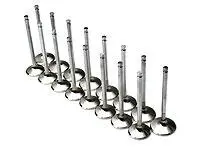 Brian Crower Nissan Vq35De 31.0Mm Exhaust Valves 1