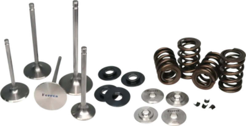 Ferrea Beehive Valve Spring Kit For 2018–2019 Ford 5.0L Coyote Engine 1